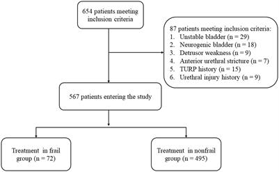 Frailty as a risk marker of adverse lower urinary symptom outcomes in patients with benign prostatic hyperplasia undergoing transurethral resection of prostate